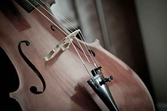 12 Items Needed for Cello Lessons and Study